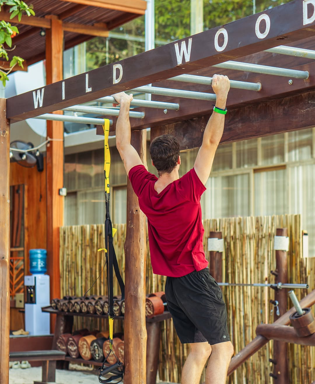 wood gym. monkey bars. buy wooden gym equipment